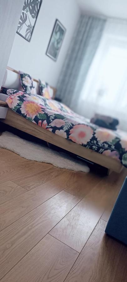Nova Apartment Sanok Extérieur photo
